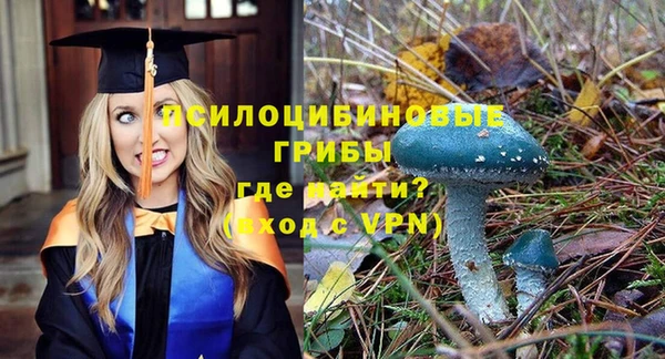 Альфа ПВП Новокубанск